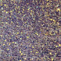 Velvet Sequin