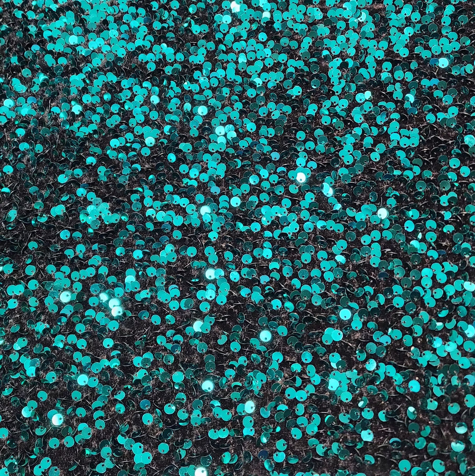 Velvet Sequin