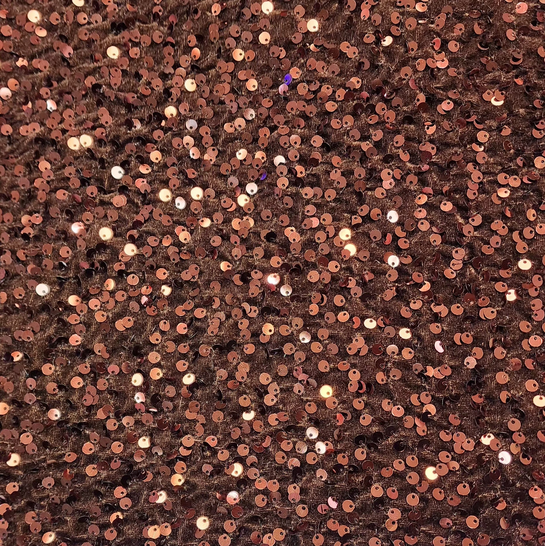 Velvet Sequin