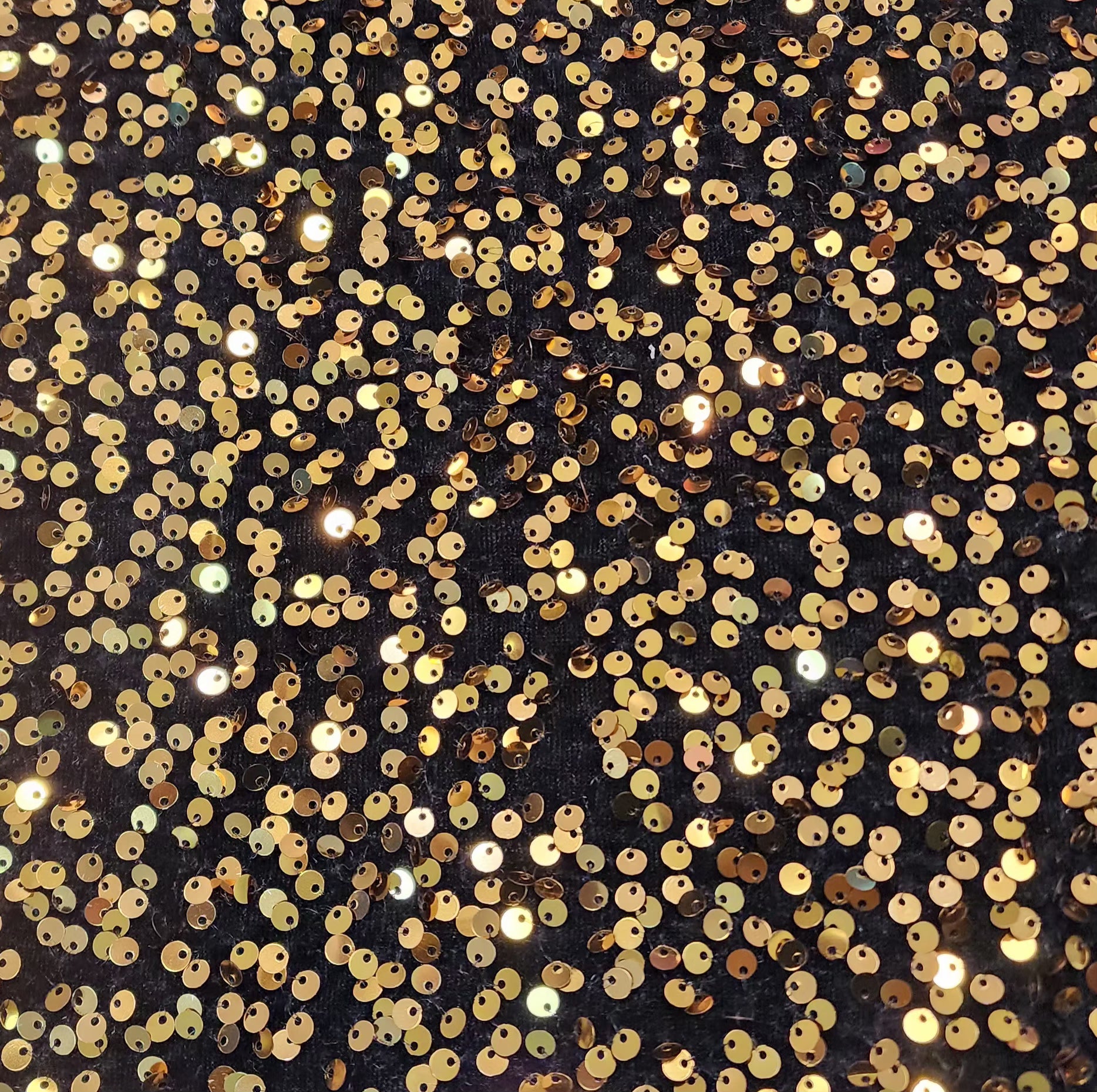 Velvet Sequin