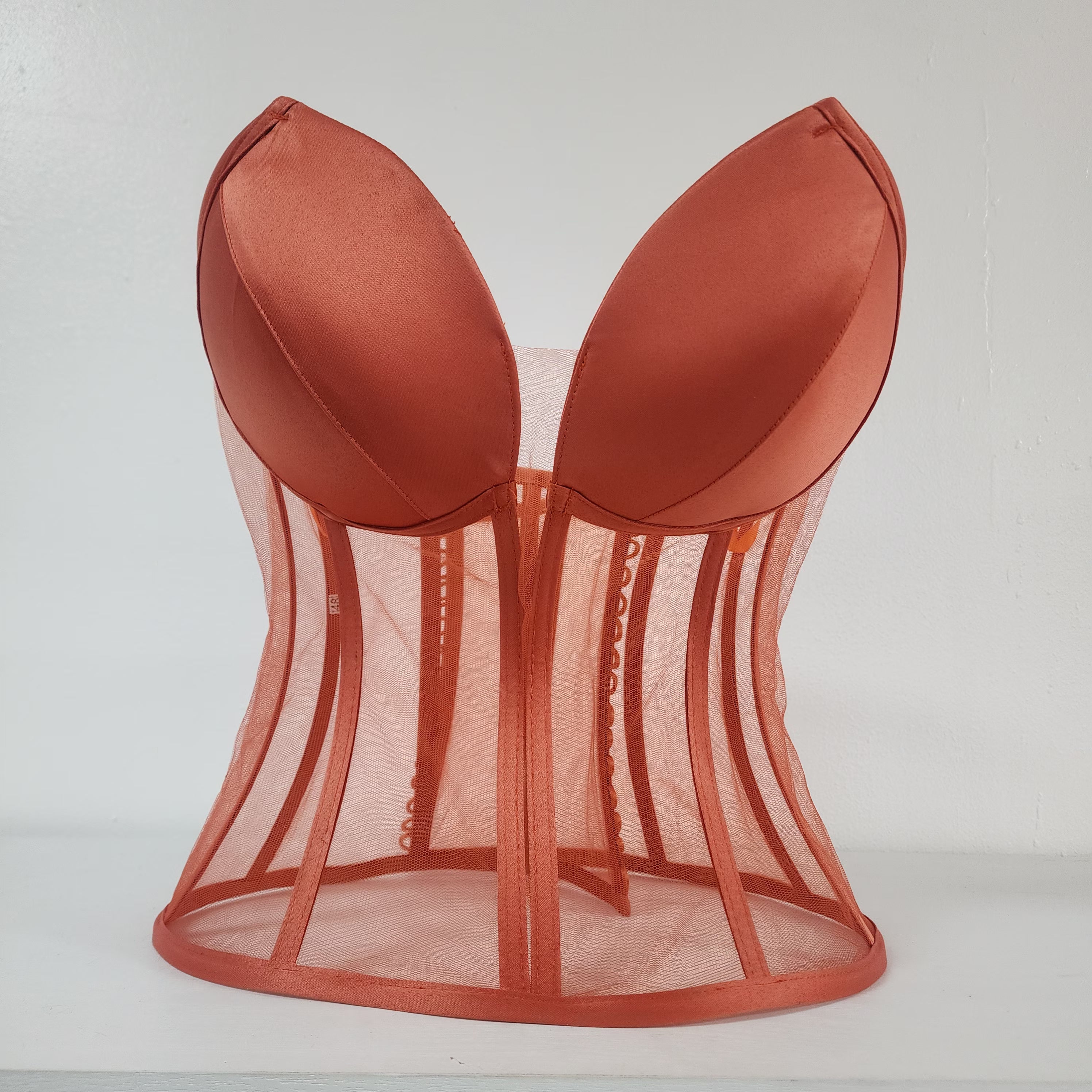Plunge Neckline Corset