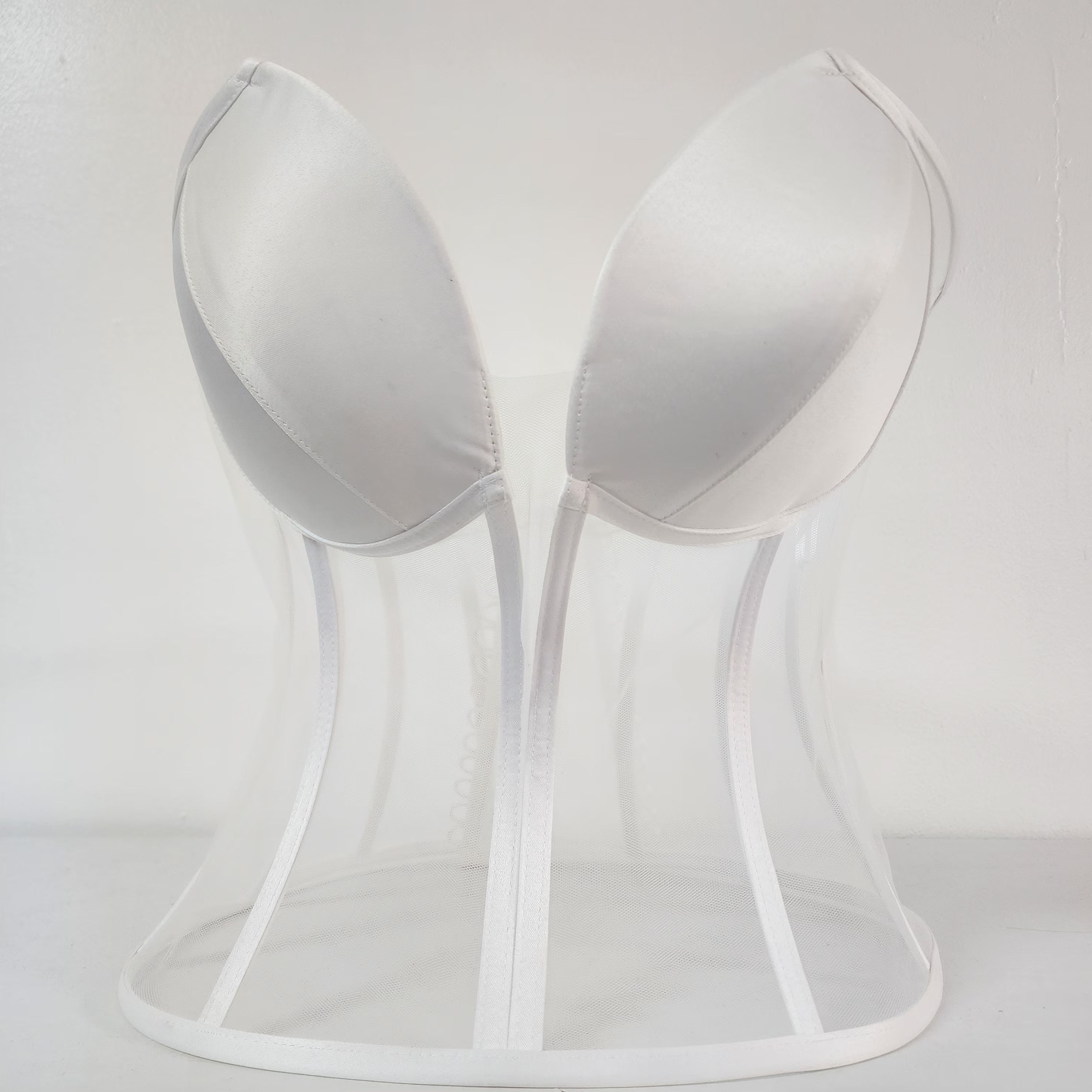 Plunge Neckline Corset