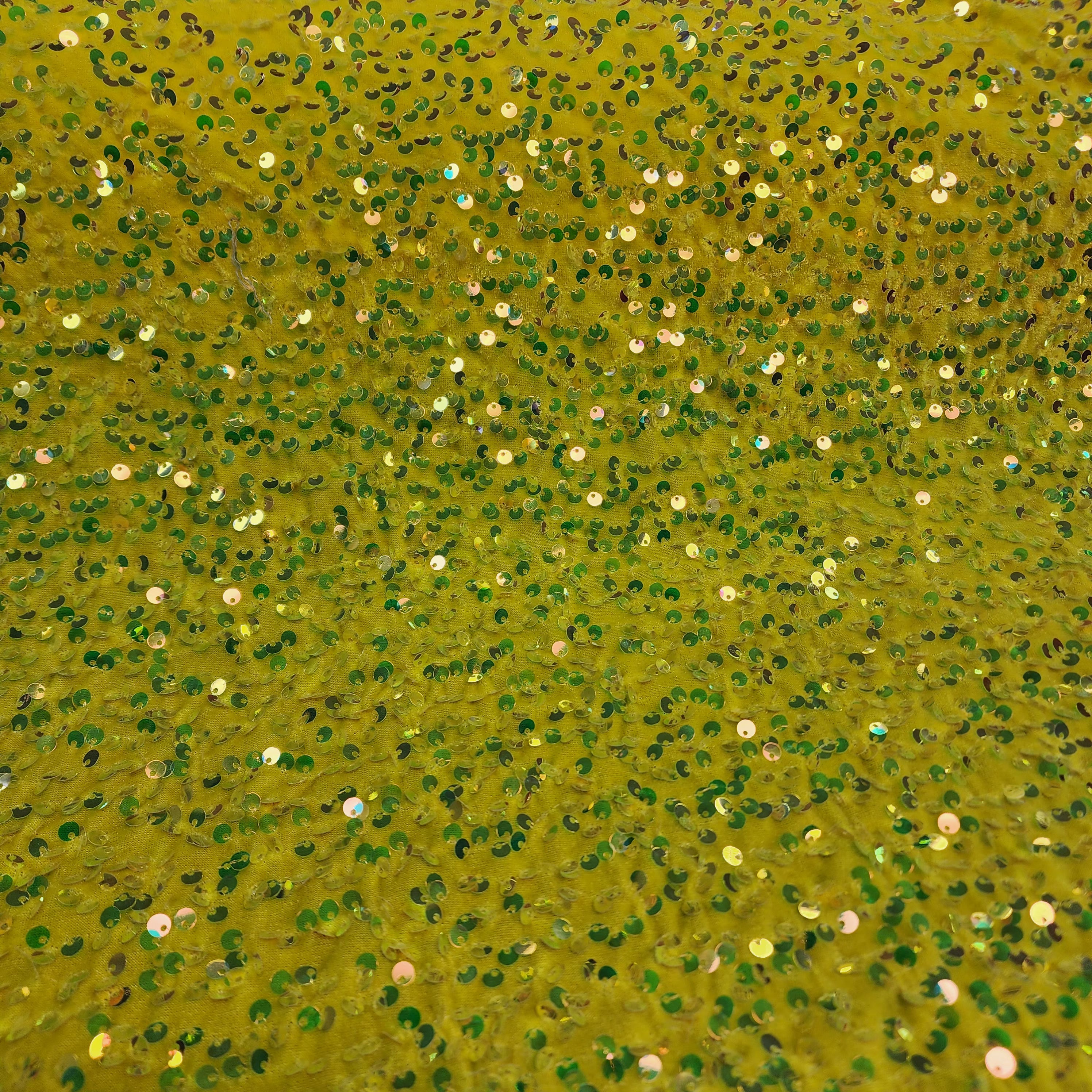 Velvet Sequin