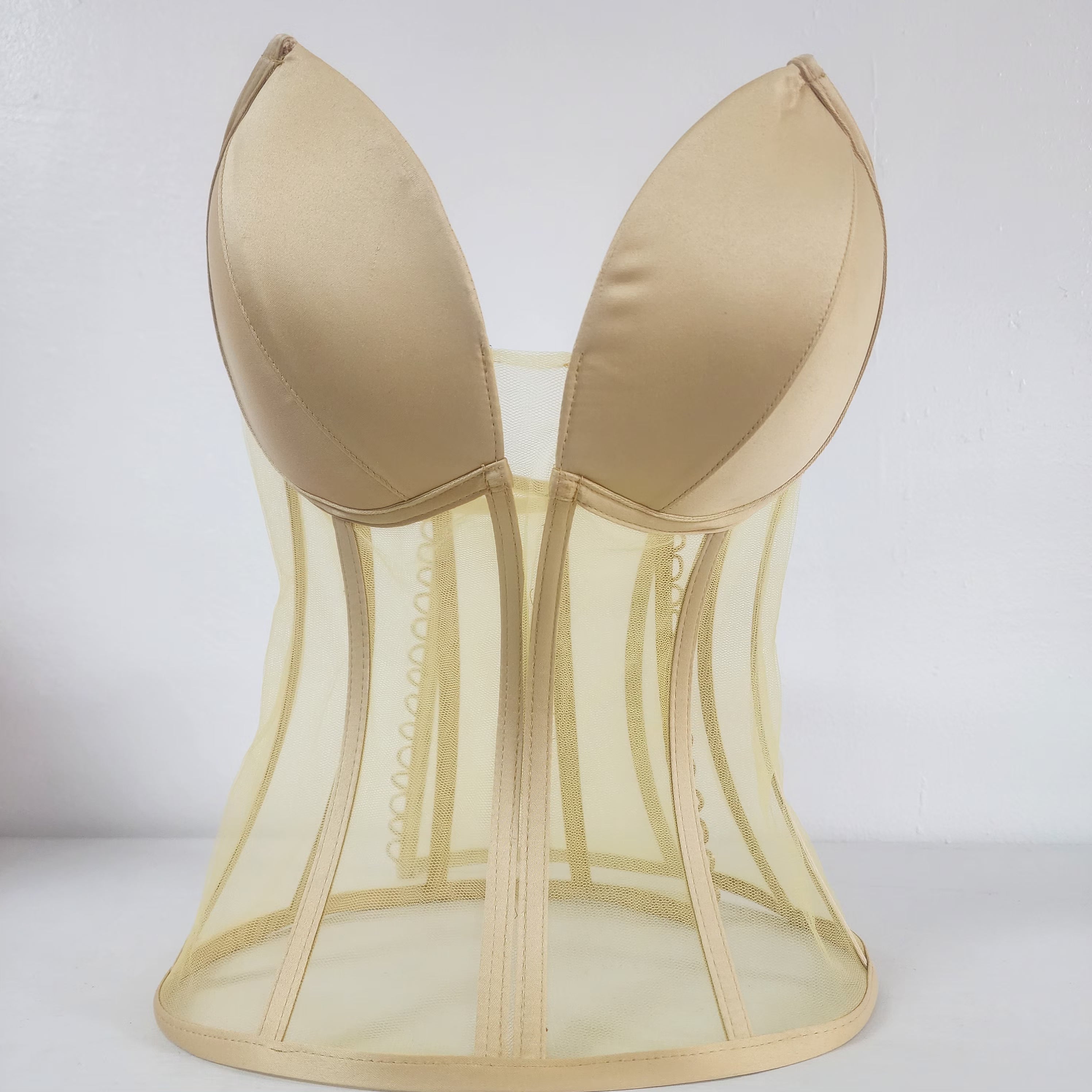 Plunge Neckline Corset