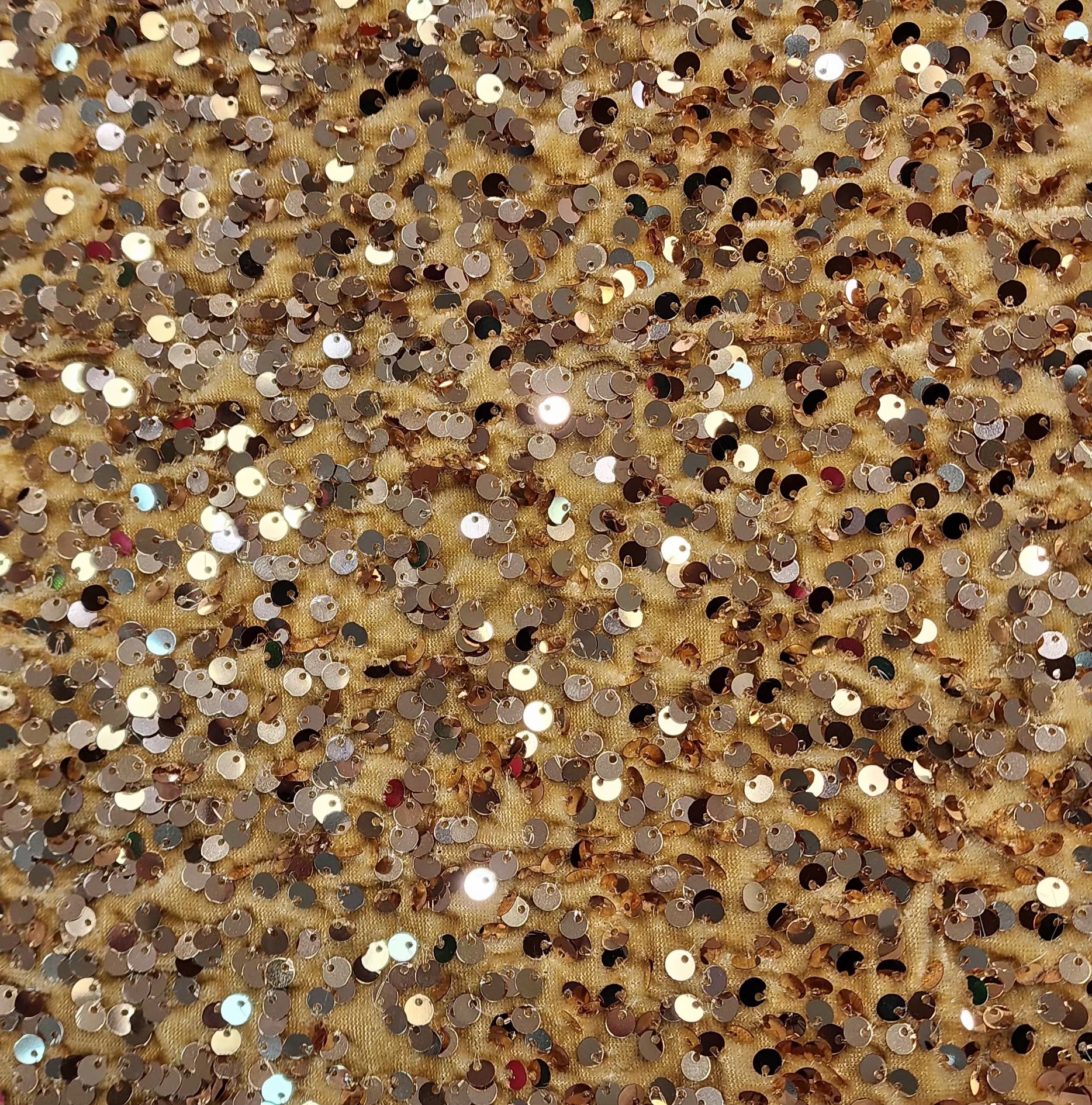 Velvet Sequin